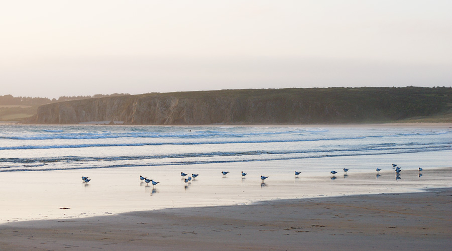 Plage de Goulien